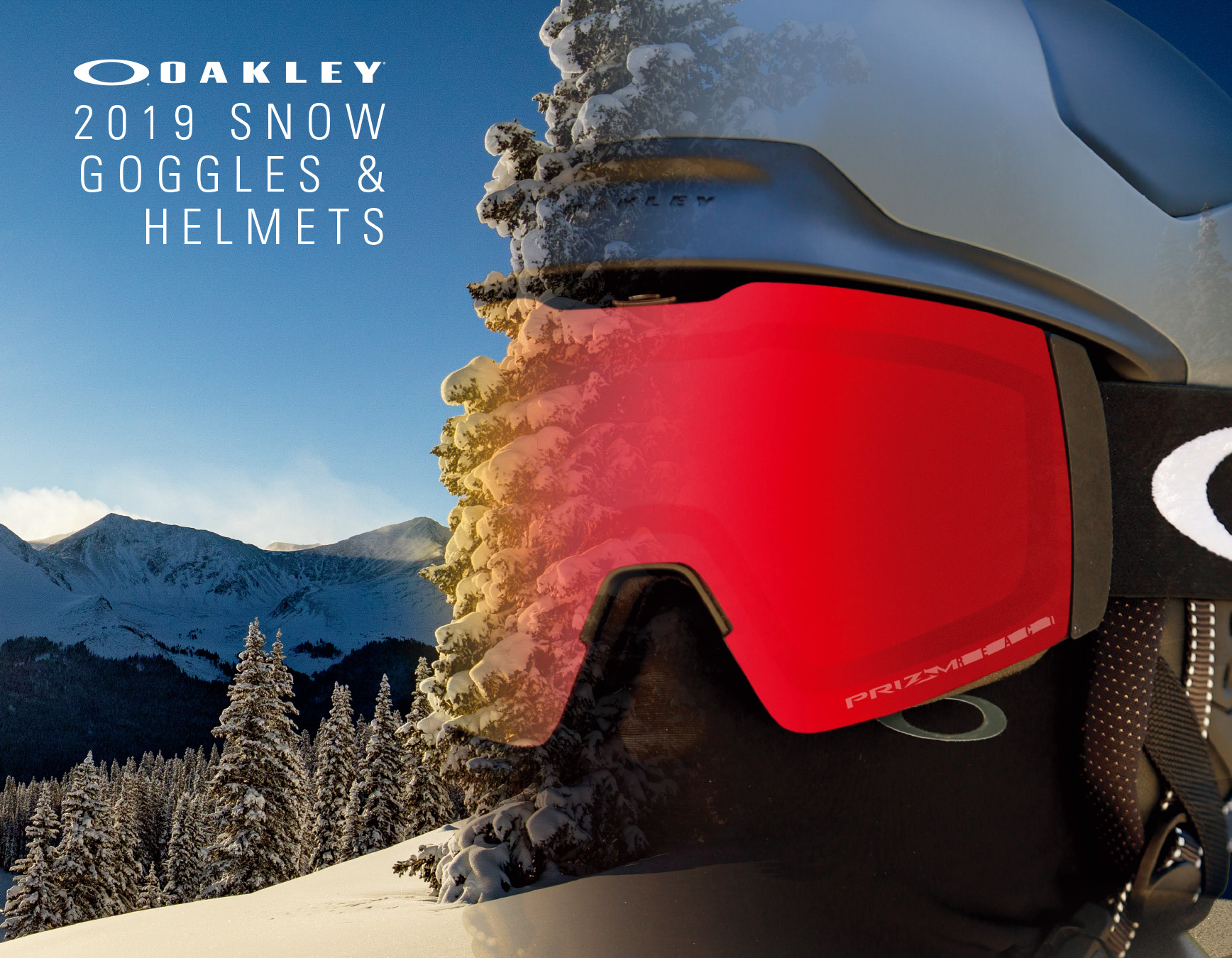 OAKLEY オークリー スノーボードゴーグル - アクセサリー